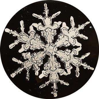 BENTLEY, WILSON A. (1865-1931) Group of 5 photographs of snowflakes, including a real photo postcard composite.
